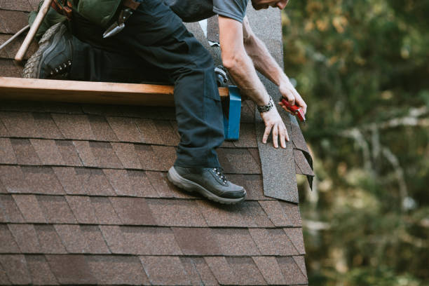 Best Roof Waterproofing Services  in Poplarville, MS